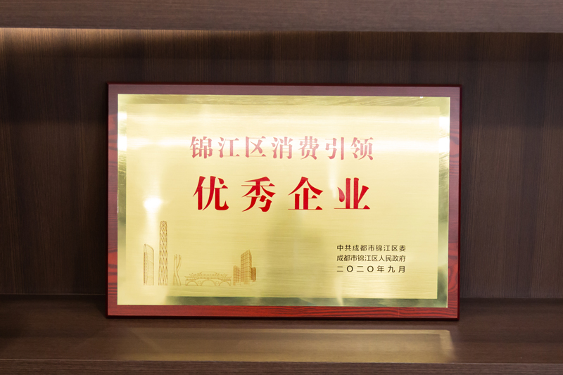 天府星空集团荣誉证书10