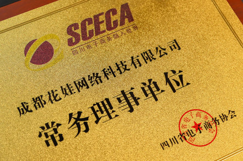 天府星空集团荣誉证书12