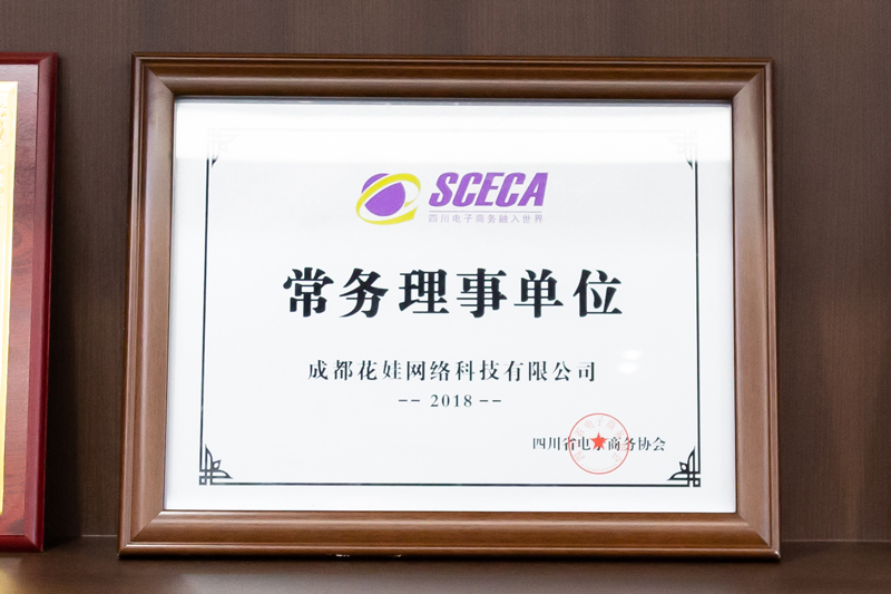 天府星空集团荣誉证书5